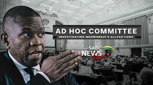 Ad Hoc Committee | Virtual meeting - 24 August 2026