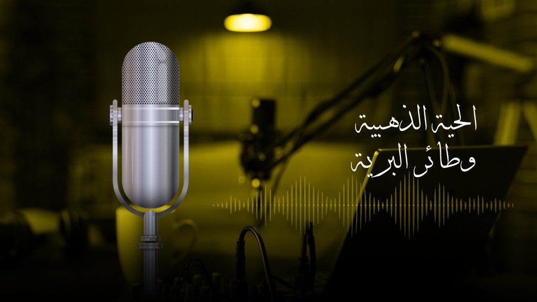  الحية الذهبية وطائر البرية