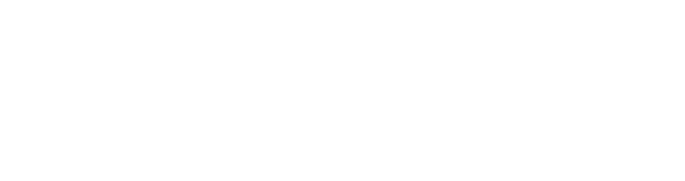 حياة طائر النعام