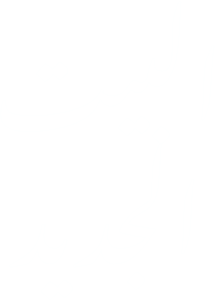 البيت الجديد