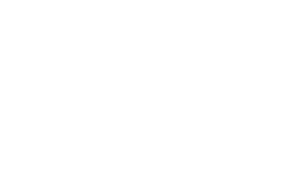 الحامي والحرامي