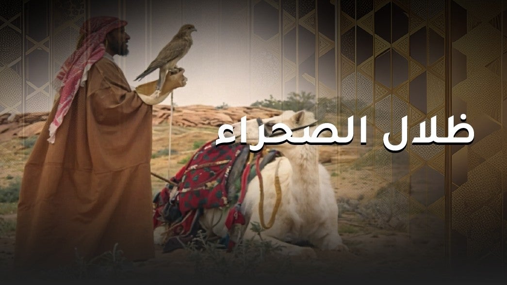 ظلال الصحراء