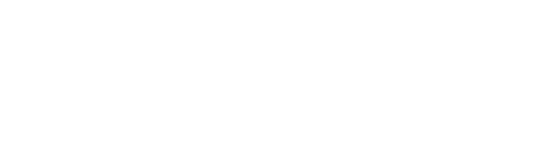 شبكه التلفزيون