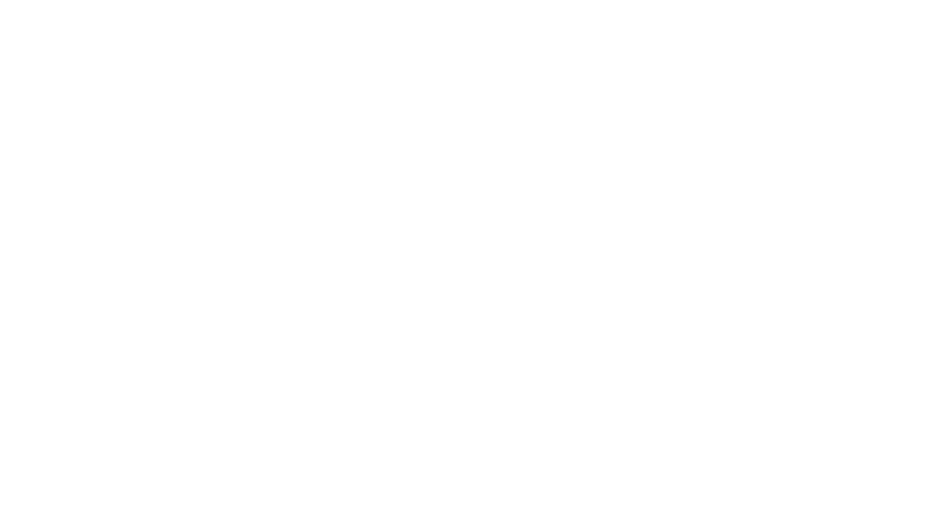 الحقيبة الدبلوماسية