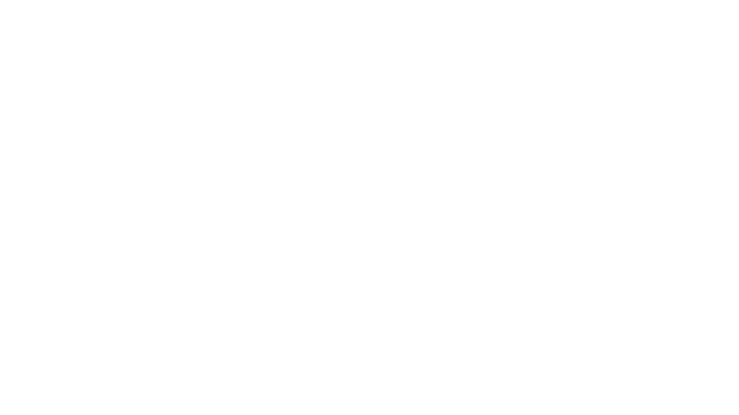 السنة ذاتها