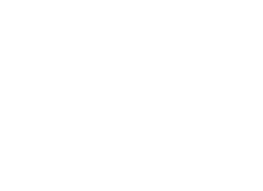 الفنان الصغير
