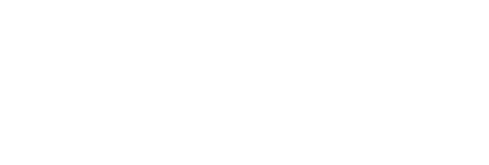 برنامج الحفل