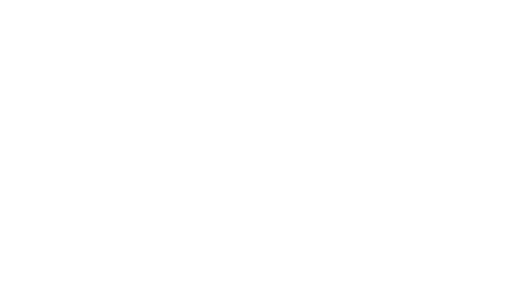 مسافر بلا هوية