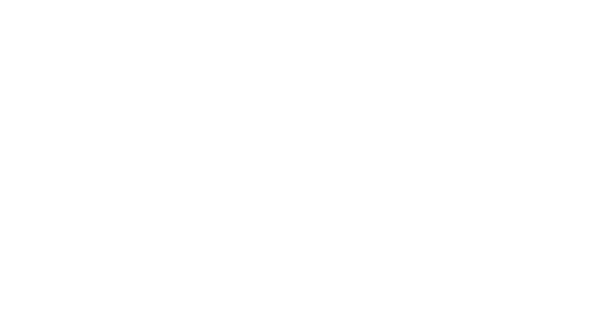 الطير و العاصفة