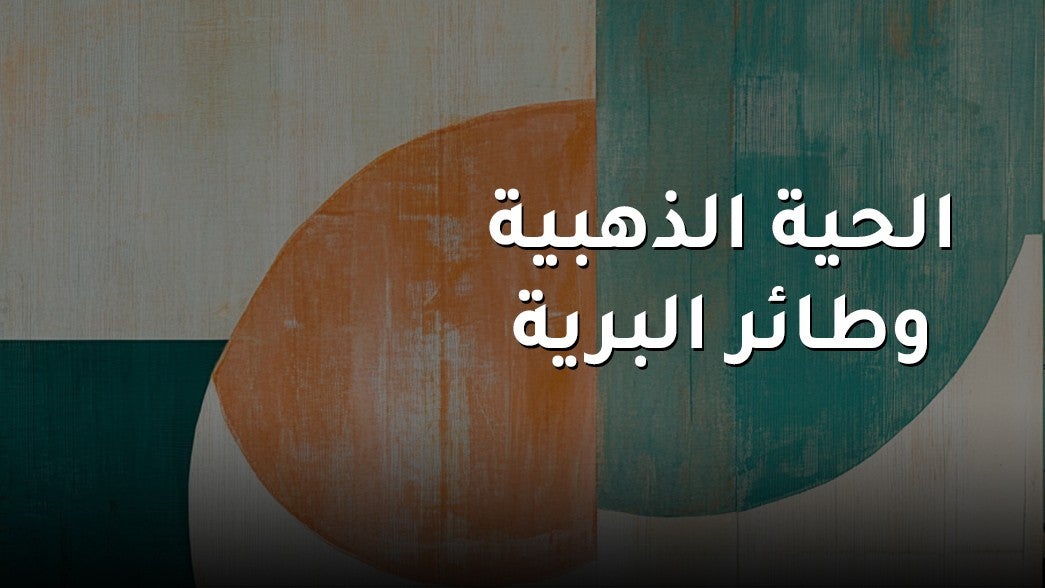  الحية الذهبية وطائر البرية