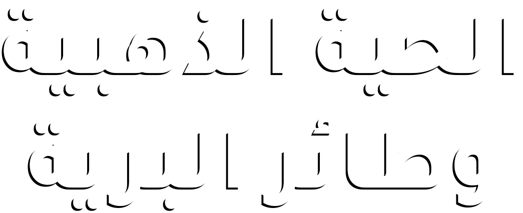  الحية الذهبية وطائر البرية