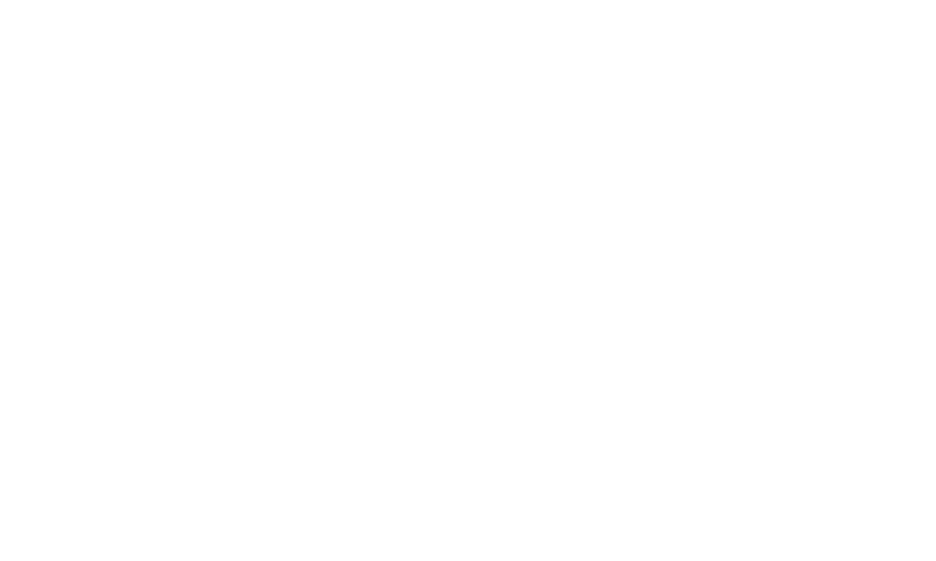 بداية المشوار