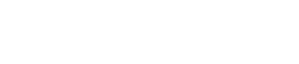 للوطن شعلة