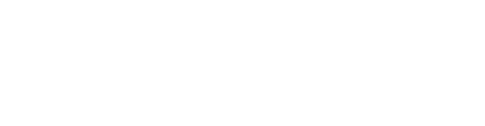 طير ودينا