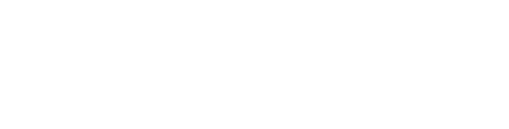 السلامة