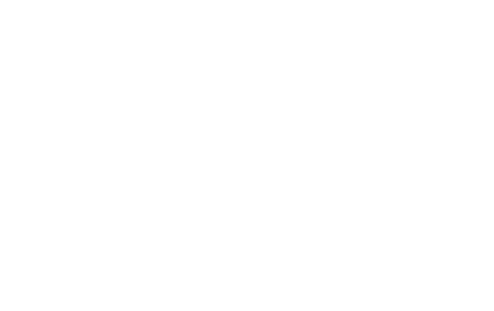 مشوار النفيسي