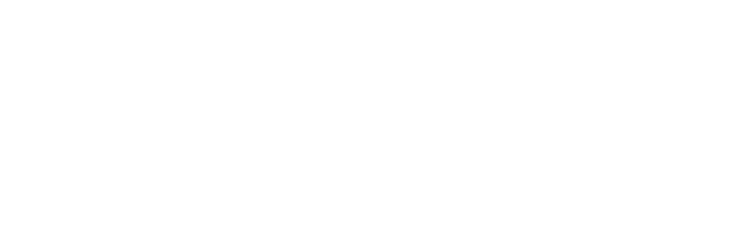 ذيب السرايا