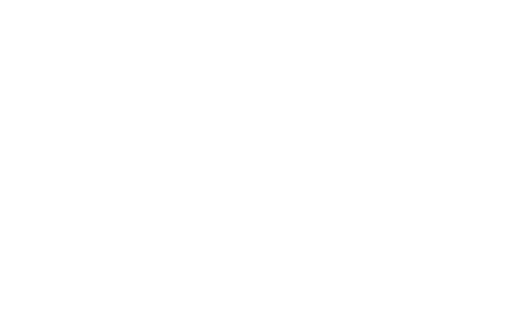 دار الزين