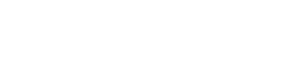 فن عدساني
