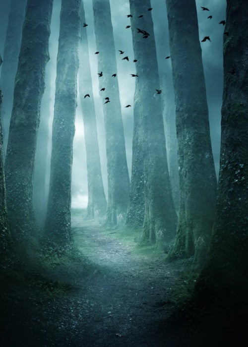 The Forgotten Forests