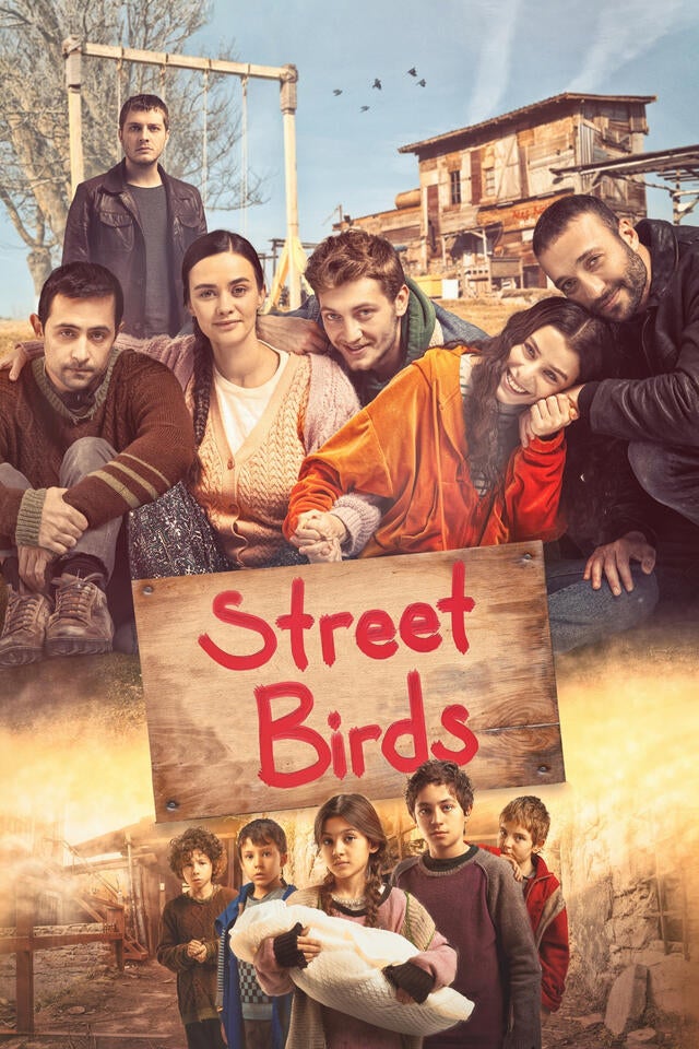 Street Birds
