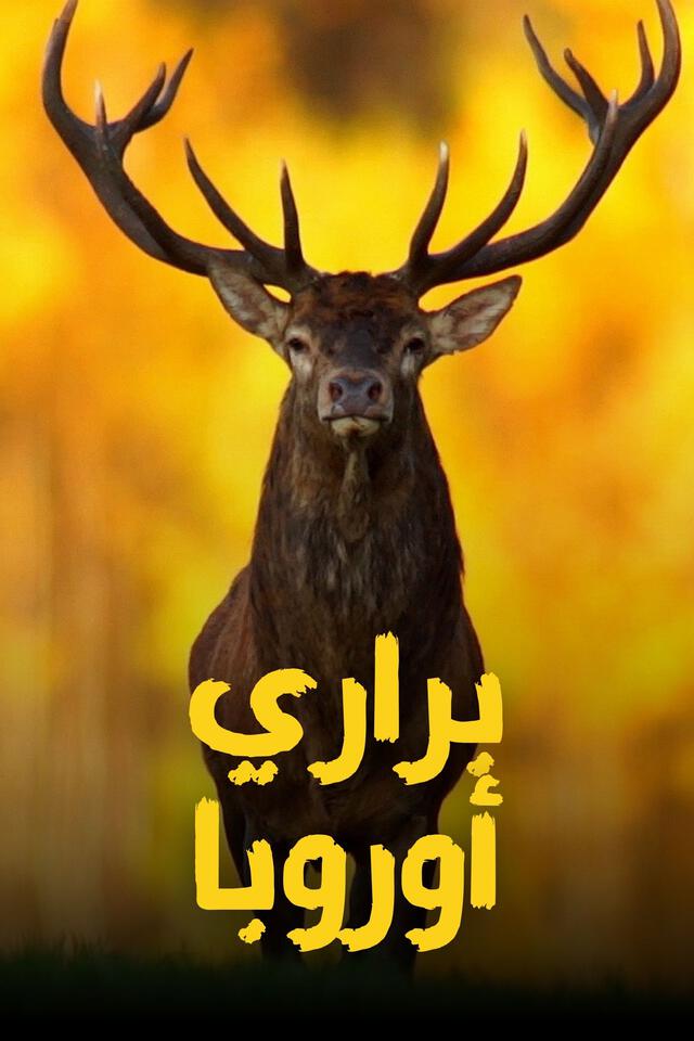 براري أوروبا