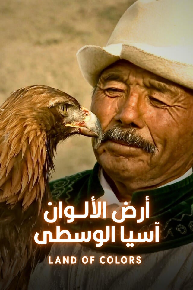 أرض الألوان