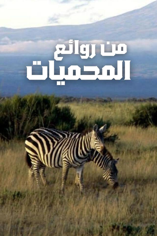 من روائع المحميات