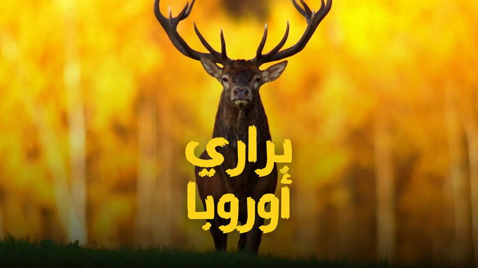 براري أوروبا