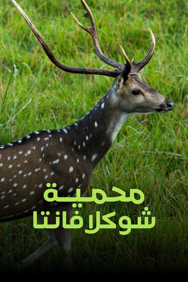 محمية شوكلافانتا