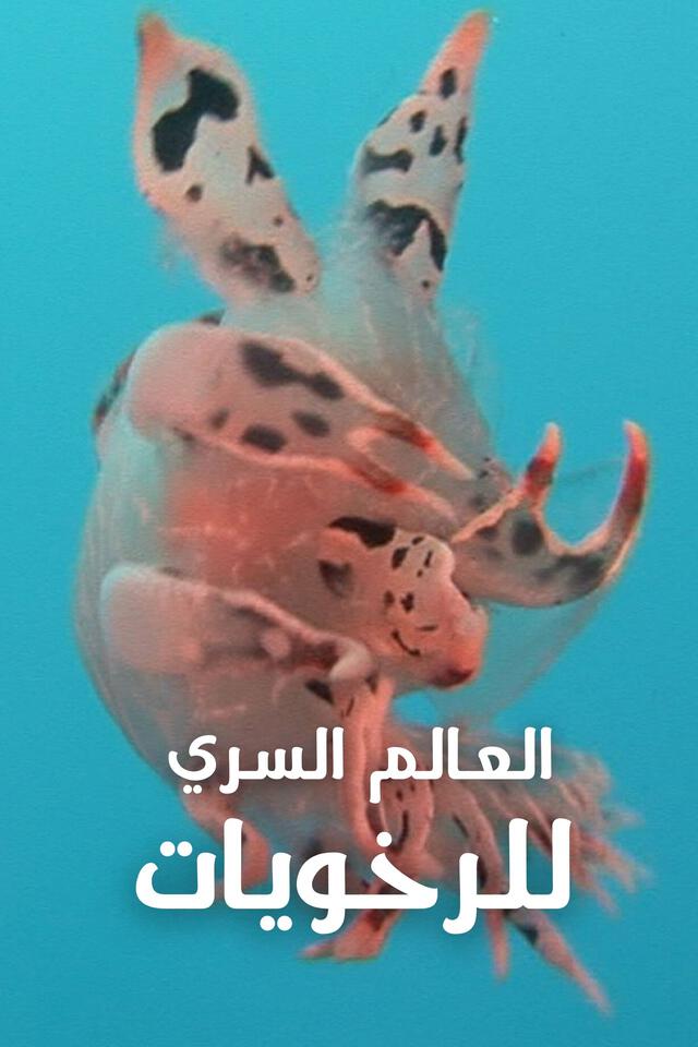 العالم السري للرخويات