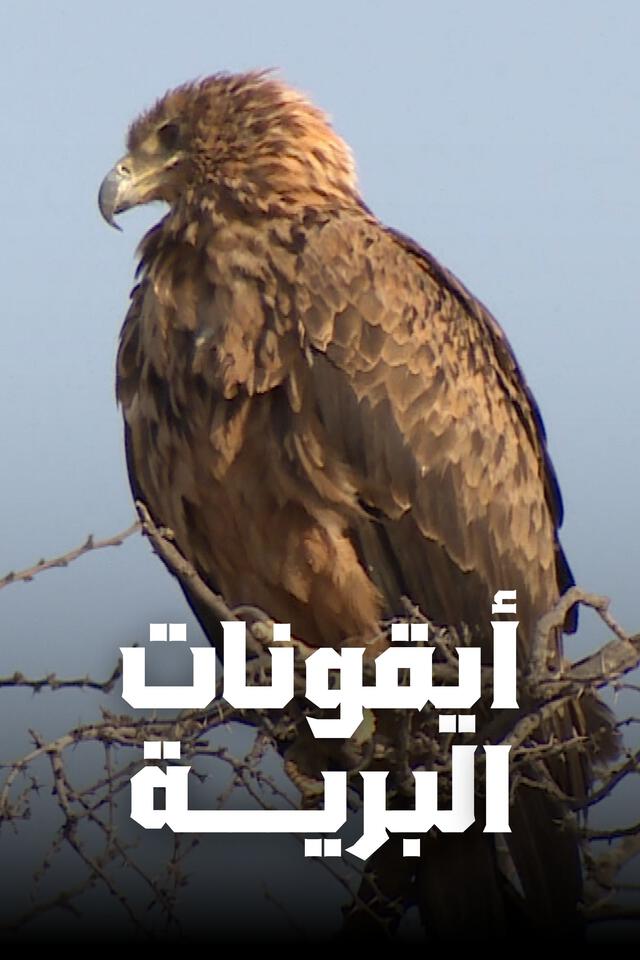 أيقونات البرية