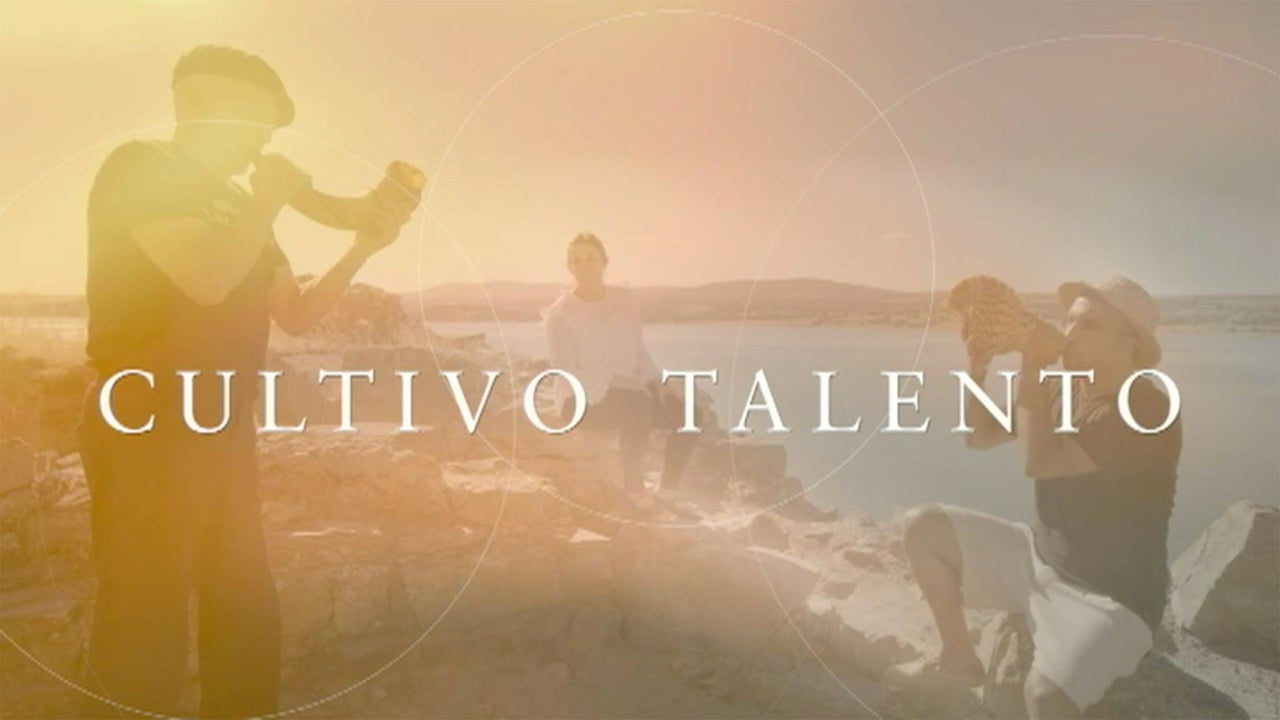Cultivo talento