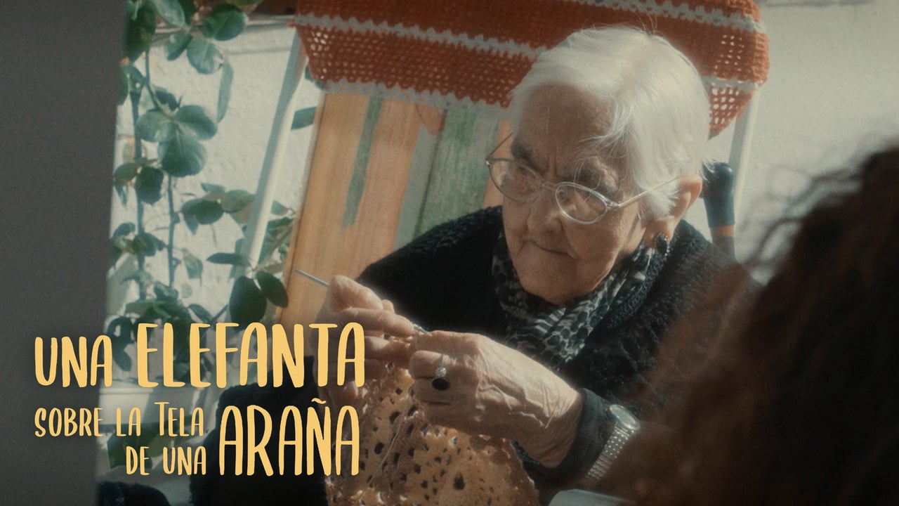 Una elefanta sobre la tela de una araña