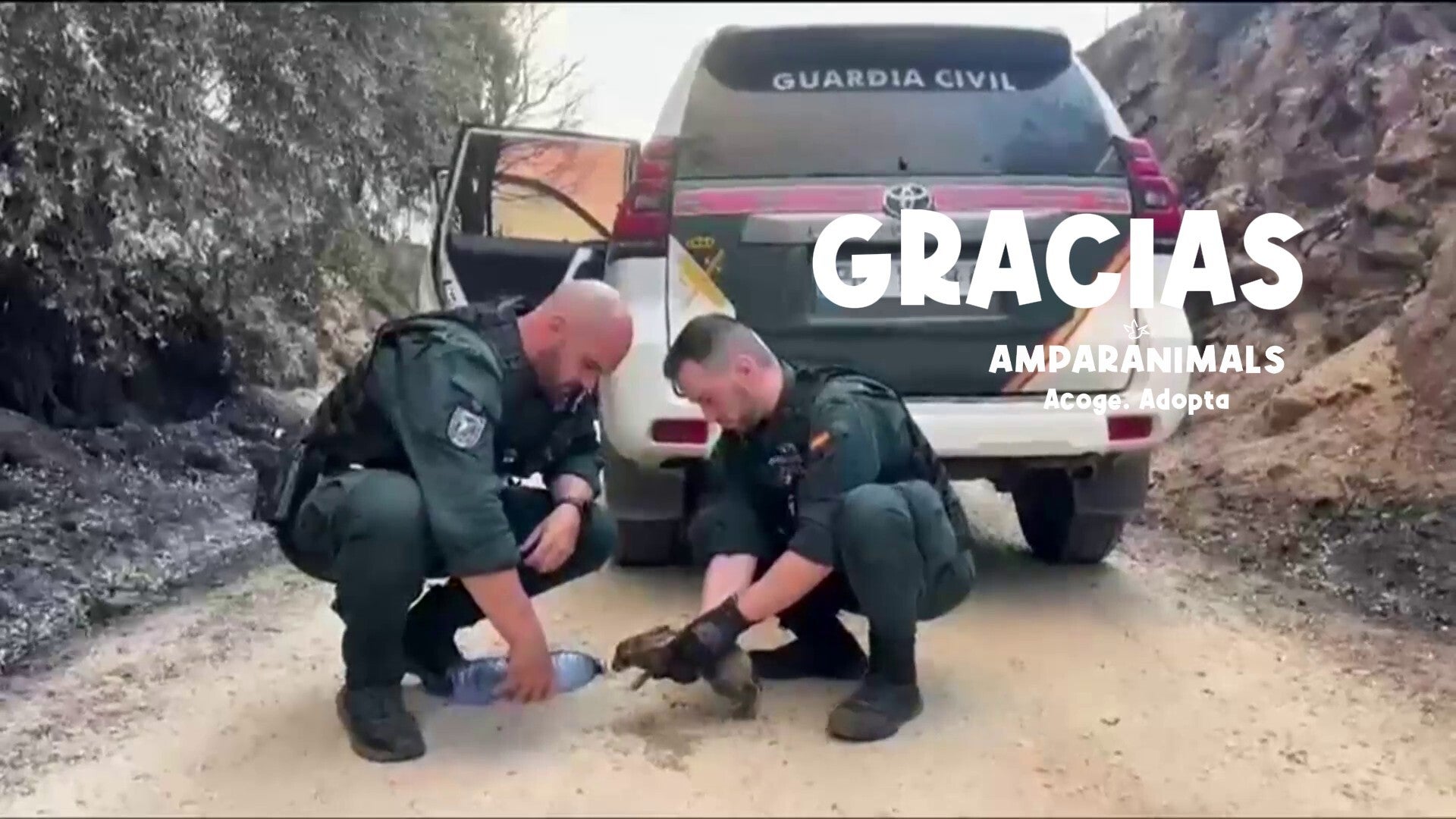 Gracias por ayudar y proteger también a los animales