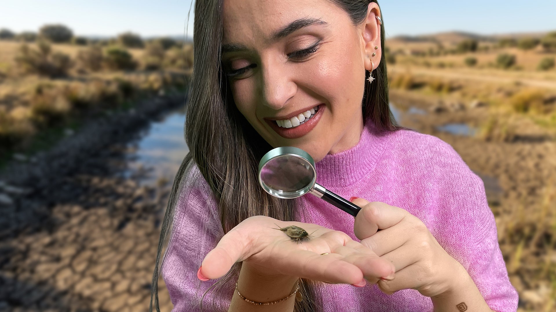 Los triops, el misterio escondido del humedal