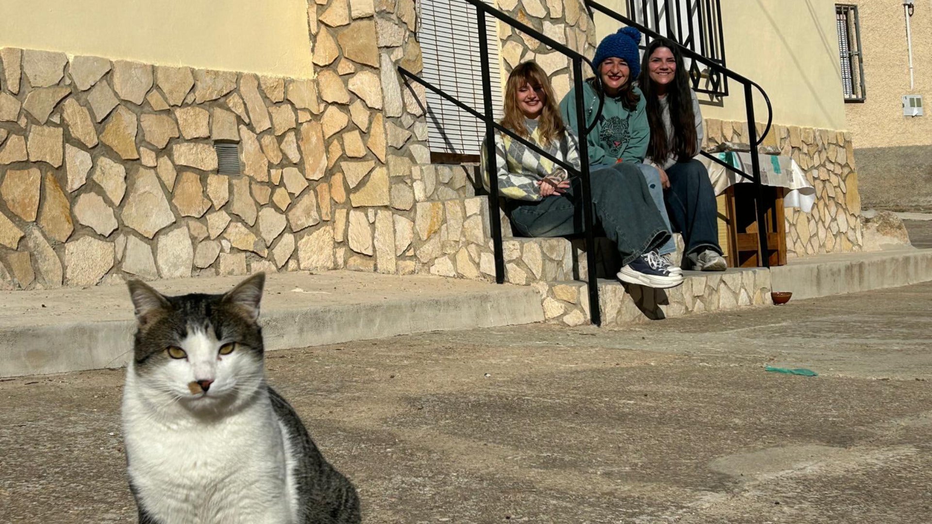 Moriscote, el pueblo con más gatos que personas (y el zorro Leo)