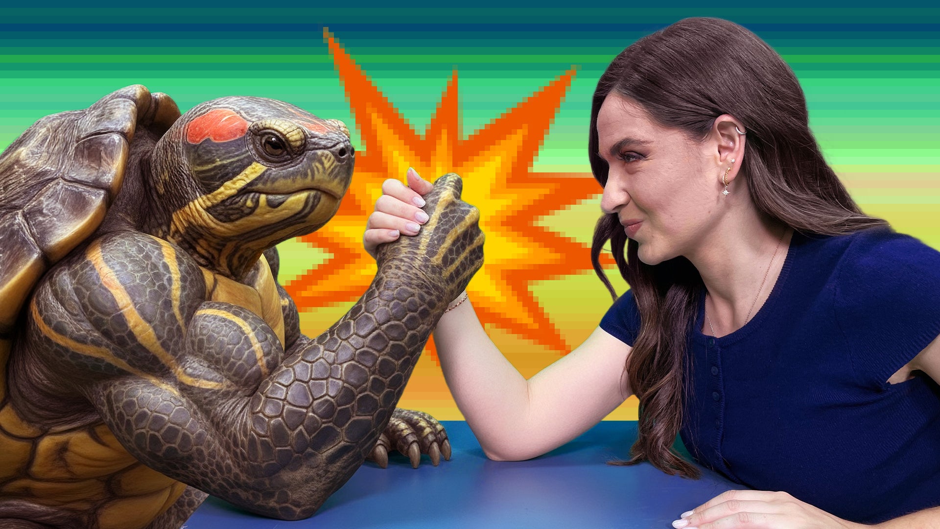La tortuga de Florida, de mascota a invasora