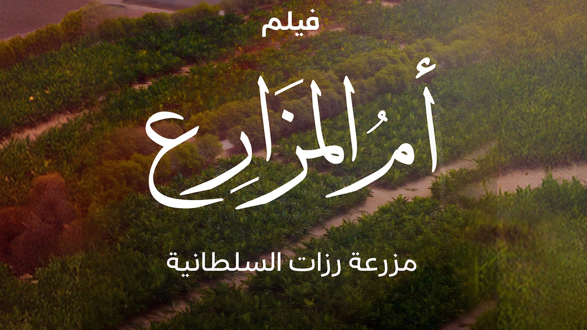 فيلم أم المزارع مزرعة رزات-1