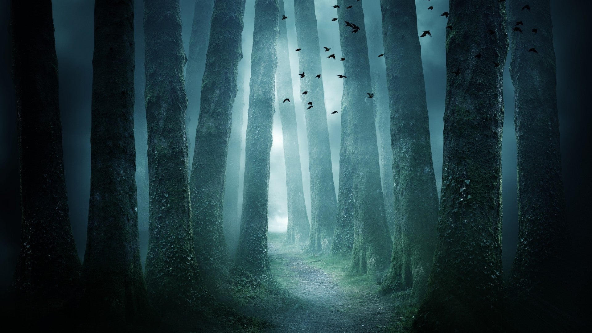 The Forgotten Forests