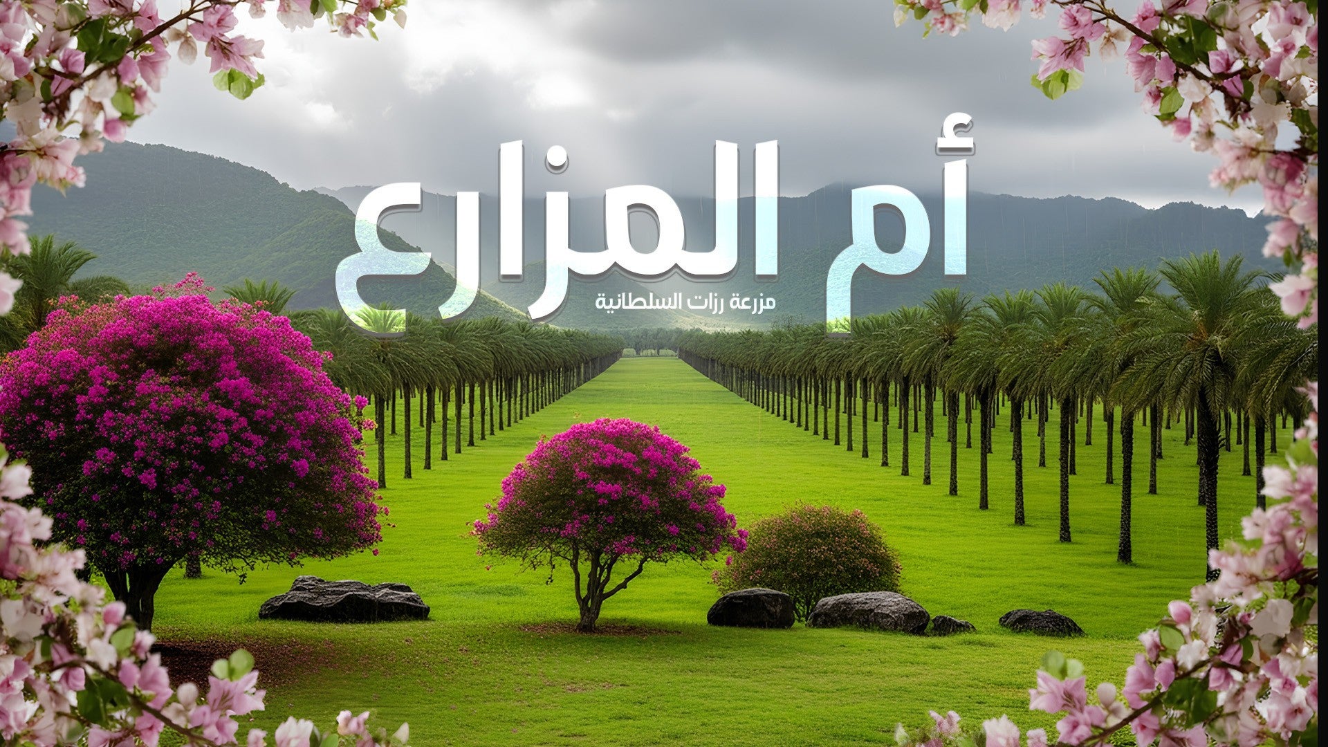 فيلم أم المزارع مزرعة رزات-4