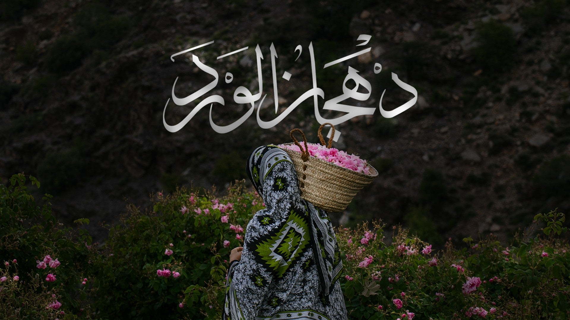 دهجان الورد-0