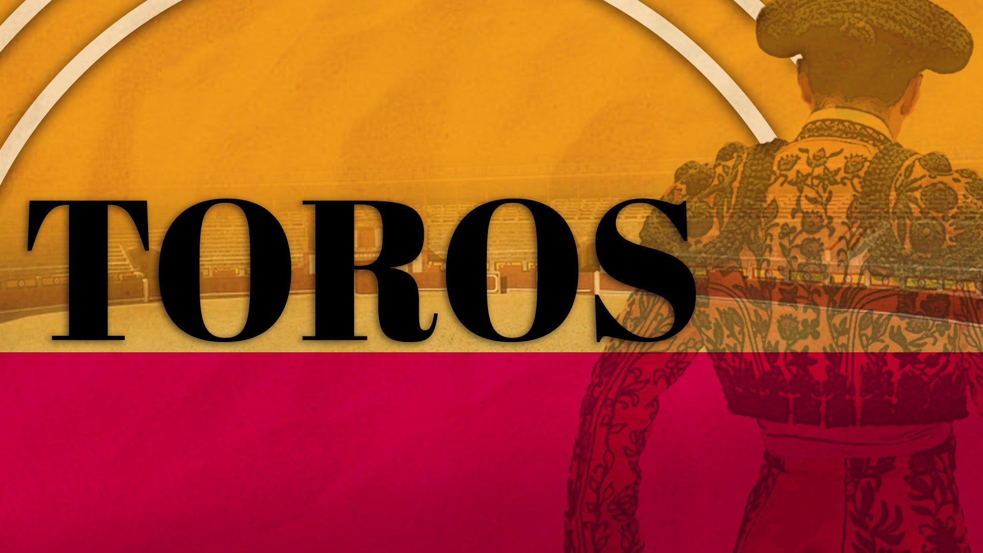 Toros