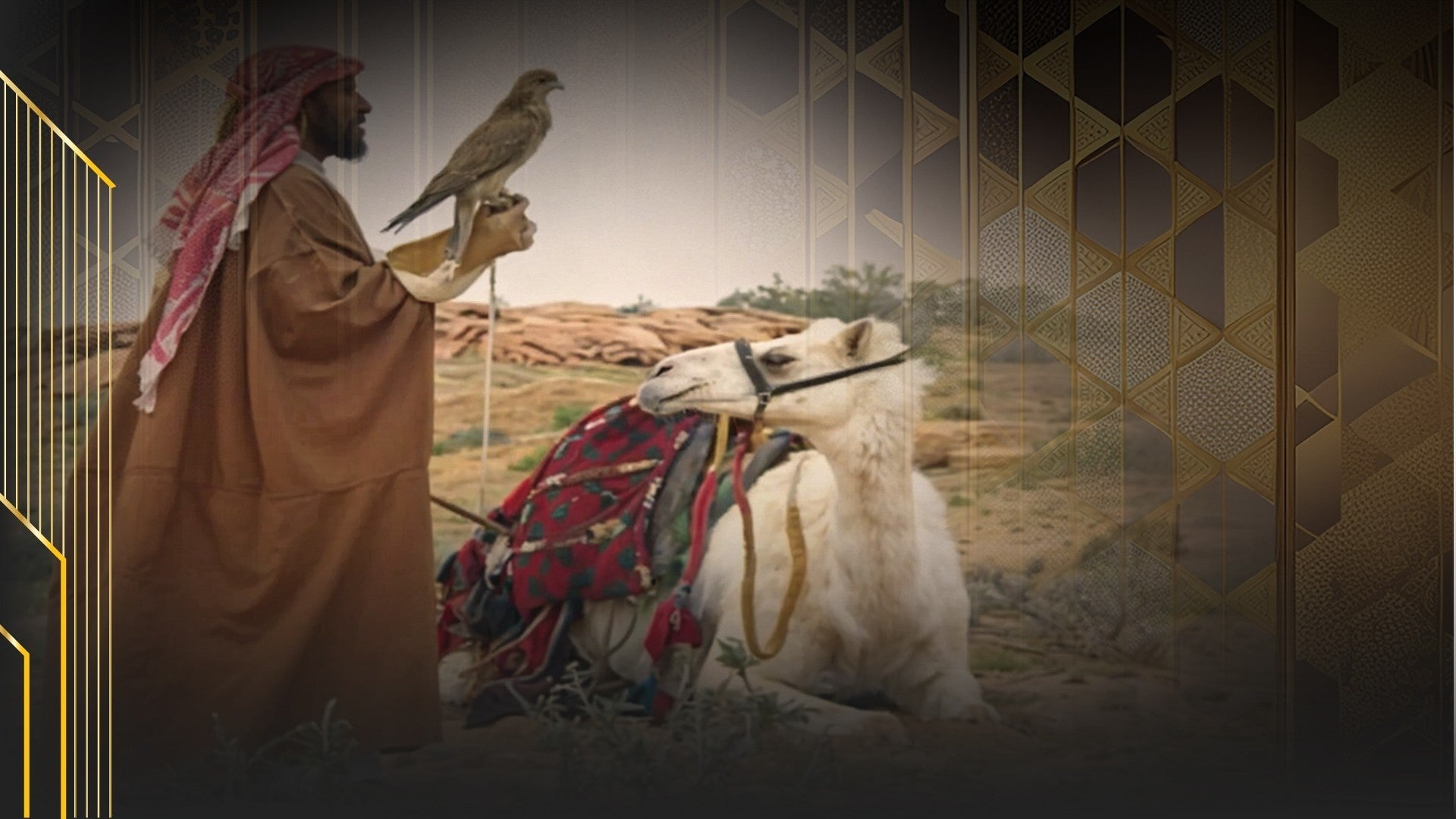 ظلال الصحراء